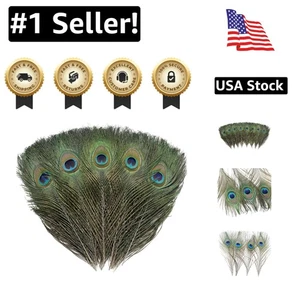 120 PCS Professionally Cleaned Peacock Feathers (10-12 Inch) for Crafts & Decor - Picture 1 of 11