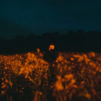 Benjamin Francis Leftwich Some Things Break (Vinyl) (UK IMPORT) Foto 1 de 2