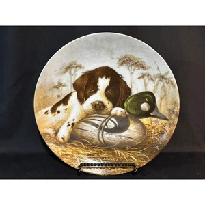Vintage 1987 Hund müde The Springer Spaniel Sammelteller 8,75 Zoll - Bild 1 von 4