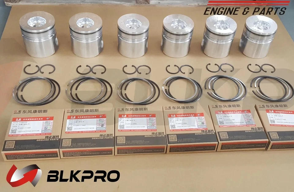6* Pistons +  Ring Set For Dodge Ram 5.9L Cummins 24V 98-02 VP44 STD 3800781 - Image 1 of 1