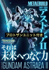 Metal Build Gundam Astraea II + Proto Zaku Unit - Limited Edition Collectible Mo - Picture 1 of 5