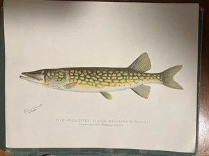 Fish And Game Of The State Of New York Seventh Report Plates; Denton; As Is - Picture 1 of 13