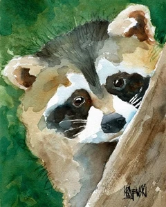 Raccoon High Resolution Print of Original Fine Art Watercolor by Ron Krajewski - Picture 1 of 8