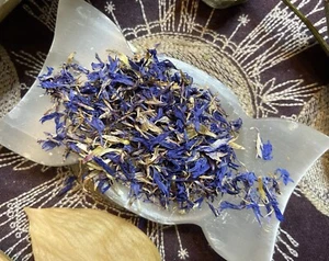 Blue Cornflower Petals, Psychic Awareness, Self Knowledge, Love, Abundance - Bild 1 von 2