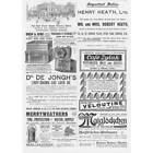 Victorian Adverts,: Bath Pump House, Hat Cases, Liver Pills - Antique Print 1898