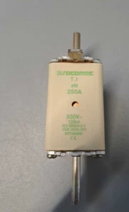 67130250 - SOCOMEC - 67130250 / Fuse T.1 Type NH S1 500VAC 250A Used - Picture 1 of 3
