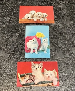 3 alte Postkarten Welpen & Kätzchen, unbespielt, Standardgröße - Bild 1 von 2