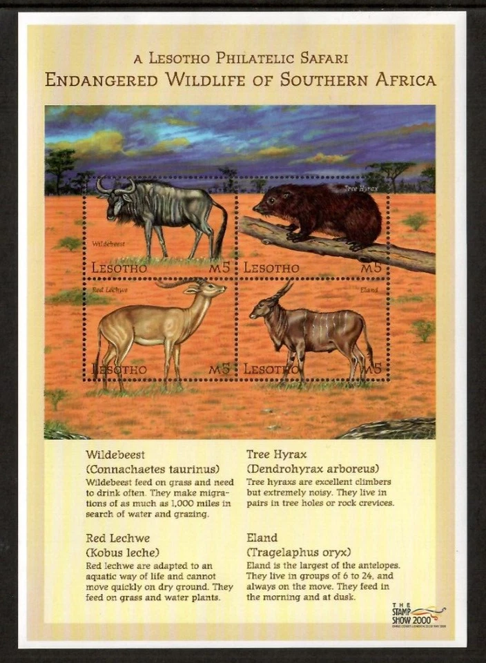 Lesoto 2000 - Animales en peligro de extinción - Hoja de 4 estampillas - Scott #1246 - MNH Foto 1 de 1