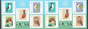 ISLE OF MAN MATT SEWELL BIRDS SPOTTED AND JOTTED SELF ADHESIVE BOOKLET MNH - Picture 1 of 2