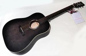 Tanglewood TWBB-SDE Acoustic-Electric Guitar Smokestack Black Finish Pro Setup! - Picture 1 of 7