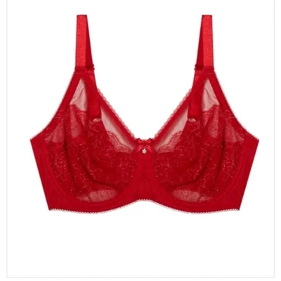 Elegante sujetador con aros de encaje rojo usado en excelente estado de Wacoal. 34G Foto 1 de 4