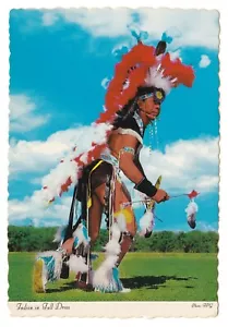 Native American Nakoda Assiniboine Warrior Ceremonial Clothing War Dance Regalia - Picture 1 of 2