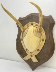 Vintage Whitetail Deer Antlers Wall Mount Buck Spike Rack Horn Sheds Wood Plaque - Picture 1 of 8