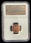 2009-D 1c Lincoln Cent - Professional Life - NGC BU - Brilliant Uncirculated