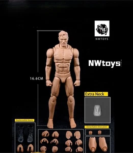 Figura Cuerpo de Hombre Nwtoys 1/12 Cuerpo Muscular Movible Hágalo Usted Mismo Figura - Imagen 1 de 11