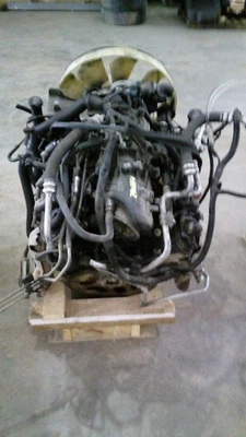 Engine 5.3L VIN P 8th Digit Fits 03-04 ENVOY XL 782921 - Image 1 of 4