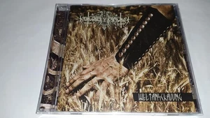 Nokturnal Mortum : weltanschauung - Foto 1 di 2
