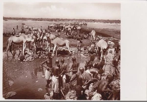 SOMALIA - Pozzi verso il confine etiopico, Parodi Mogadiscio Photo Postcard - Picture 1 of 2