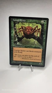 Canopy Spider - Tempest - MTG 1997 Magic The Gathering - Picture 1 of 2