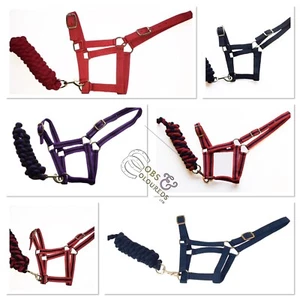 HEADCOLLAR & LEADROPE SET, SHETLAND, PONY, COB, FULL *FREE POSTAGE* - Picture 1 of 9