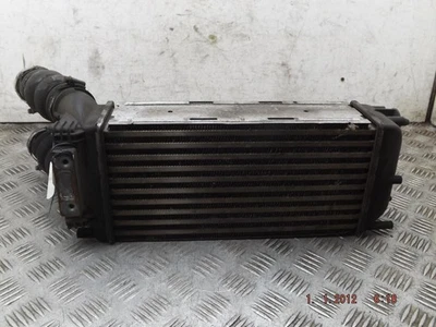 Intercooler Volkswagen Amarok e Ac 9656503980 Mk1 2.0 Diesel 2010-2021F - Imagem 1 de 4