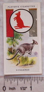 1933 Player's Boy Scout & Girl Guide Patrol Signs & Emblems No. 10 Kangaroo - Picture 1 of 1