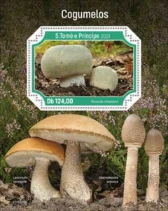 St Thomas - 2021 Mushrooms, Green Brittlegill - Stamp Souvenir Sheet - ST210303b - Picture 1 of 1