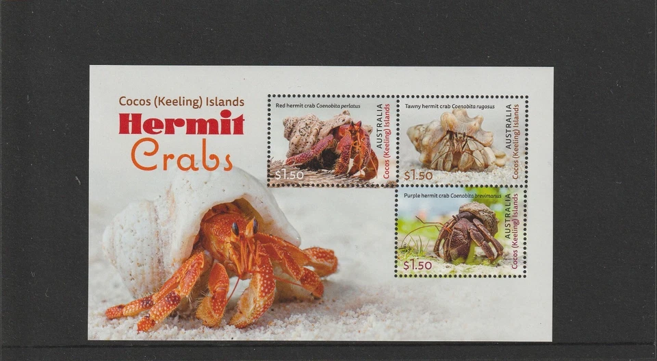 Islas Cocos (Keeling) 2024 - Mini Cangrejos Ermitaños - Hoja - Como Nueva Nunca Con Bisagras. Foto 1 de 1