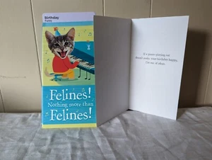Happy Birthday Funny Felines Hallmark Heartline Card with Envelopes - Pack of 14 - Picture 1 of 1