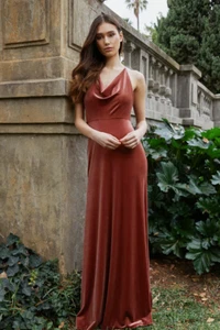 Jenny Yoo English Rose Velvet Sullivan Bridesmaid Maxi Dress Womens 14 Pink - Picture 1 of 23