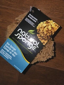 Natural Sea Sponge 6-7" NEW WITH TAGS! TREAT YOURSELF TO THE BEST! SPA, BATH USA - Picture 1 of 2