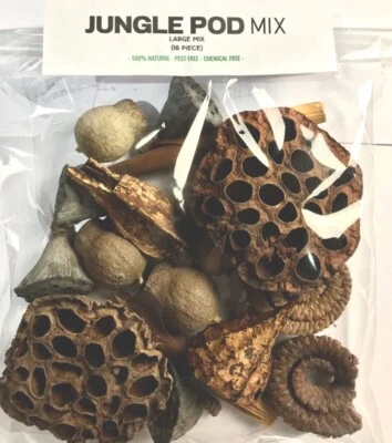 BIOTROPIC. Habitat Collection- Jungle Pods terrarium, Vivarium, reptile, isopod