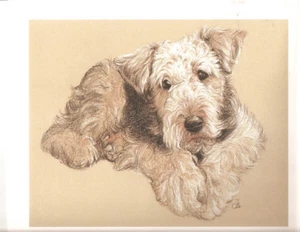 Airedale Terrier Open Edition Art Print by UK Artist Vic Bearcroft* - Picture 1 of 1