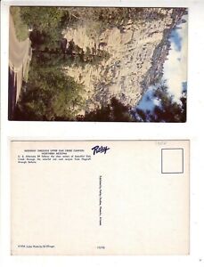 1970s postcard -  US 89 -  Oak Creek Canyon - Arizona   stk#taEO