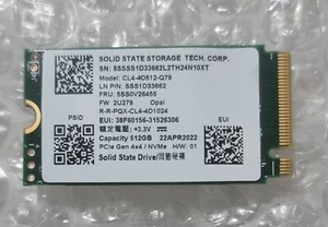 Tablet PC Portátil Fast SSSTC M.2 NVMe 2242 512GB SSD CL4-4D512-Q79 Gen4 x4 - Imagen 1 de 1