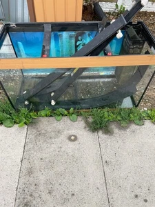 4ft Aquarium Fish Tank With pump - Picture 1 of 1