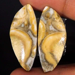 Naturel Étonnant Cobra Jasper Assortis Paire 25.00Cts Chic Cabochon Libre Gemme - Bild 1 von 3