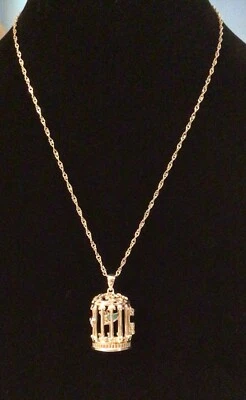 "Collar colgante medallón pájaro alado turquesa jaula para pájaros BBJ de plata esterlina 18""" Foto 1 de 4