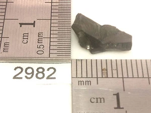 Shungite argent (elite) pierre brute mineraux lithotherapie collection brut déco - Foto 1 di 1