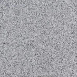 Terrassenplatte Granit 40 x 40 x 2 cm grau Terrassenplatte - Bild 1 von 1