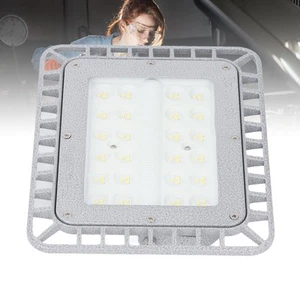 LED Światło przeciwwybuchowe 50W IP66 Marmur Kolor Szkło Fabryka Światło❀ - Zdjęcie 1 z 24