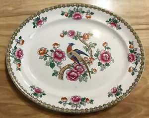 F Winkle & Co England Whieldon Ware piatto 12" modello FAGIANO 1908 - Foto 1 di 3