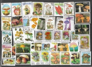 MUSHROOMS/FUNGI ON STAMPS COLLECTION 100 ALL DIFFERENT 30/5/25 A - Picture 1 of 2