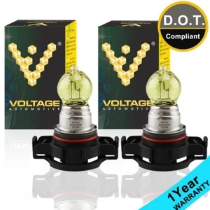 PS24W 5202 Bombillas Amarillas para Indicador de Niebla Señal Cabezal Luz Alto Bajo 2 un. - Imagen 1 de 7