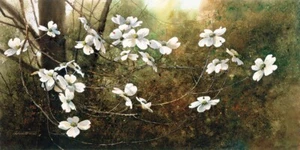Dogwood, Ray Hendershot, Wall Decor Home Art Print Poster 11" x 14" 3296 - Picture 1 of 1