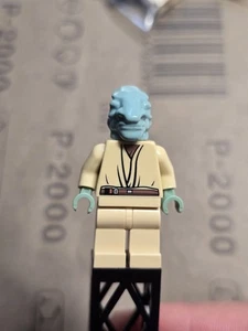 LEGO Custom TCS Coleman Trebor - Picture 1 of 9