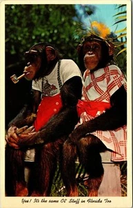 Humor ja! It's The Same Ol"" Stuff in Florida auch Postkarte - Bild 1 von 2