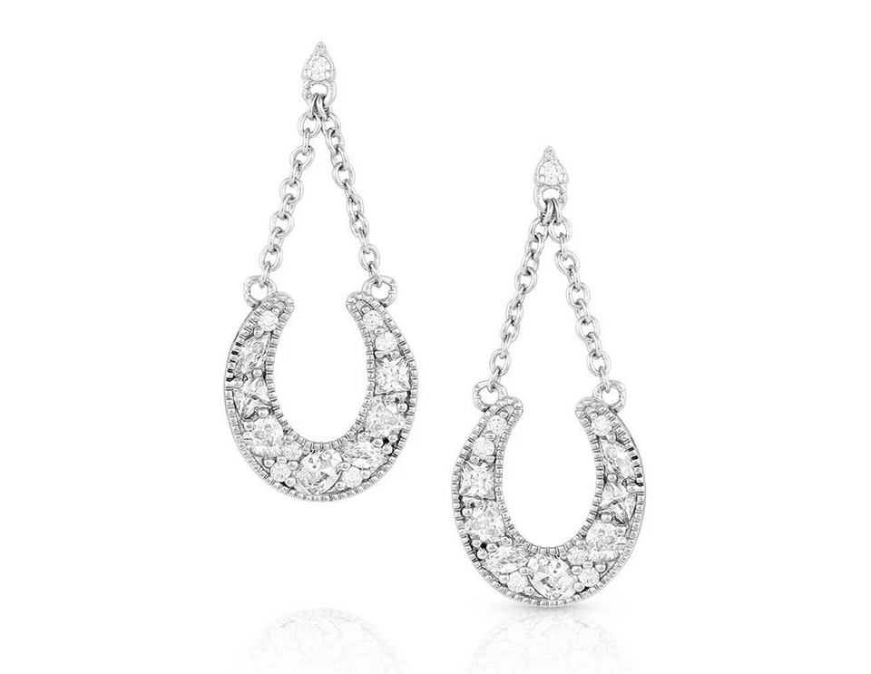 Brincos femininos Montana Silversmiths cristal sorte intencional ER5350 - Imagem 1 de 1