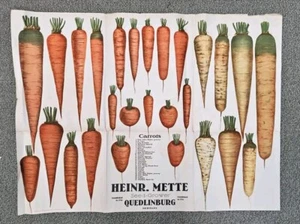 1900's to 1930's 27 Heirloom Carrot Seed Grower Heinrich Mette Poster 19" x 25" - Picture 1 of 4