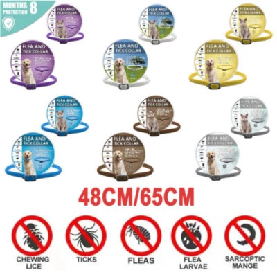 MARKENLOS Anti-Insekten-Floh und Zeckenhalsband 8 Monate Schutz für Haustier Katzen Hund
